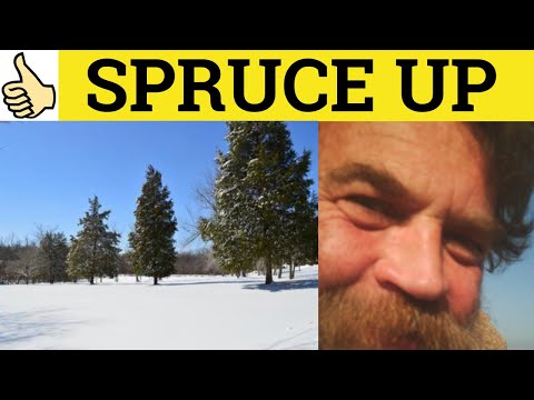 What does it mean to spruce something up?