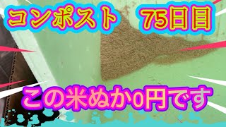 コンポスト75日目　この米ぬか0円です