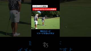 やってはいけないパッティングの素振りの仕方【ゴルゴ松本さん】 #片山晋呉 #golf #ゴルフ #shorts