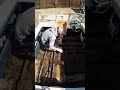 how to remove a rotted plywood boat deck