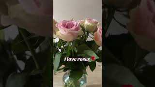 Flowers #youtubeshorts #roses