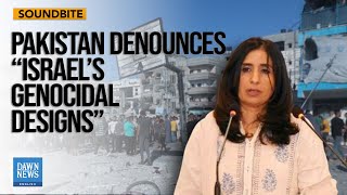 Pakistan 'Strongly Condemns' Israeli Air Strikes On Al Mawasi Camp in Gaza | Dawn News English