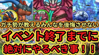 【DQチャンプ】イベント終了までに絶対にやるべき事！！Sエンブレム何個まで？【ドラクエチャンピオンズ】