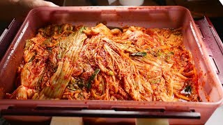 [Eng. sub] 배추김치 만들기 1: 왜 김치가 한국에서 만들어졌을까? (why was kimchi developed in Korea?)