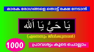 Ya hayyu ya allah 1000 times,യാ ഹയ്യു യാ അല്ലാഹ് 1000 പ്രാവശ്യം കൂടെ ചൊല്ലാം#asmaulhusna#dikr#islam