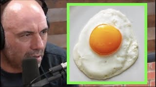 Joe Rogan | Can You Get Salmonella From Eating Eggs?