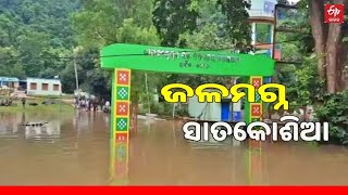 ବନ୍ୟା ପାଣିରେ ଭାସୁଛି ଅନୁଗୋଳର ସାତକୋଶିଆ || FLOOD || ANGUL SATKOSIA || ETV Bharat Odisha