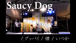 Saucy Dog  / グッバイ / 煙 / いつか コピーバンド