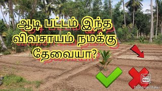 இந்த time ல இந்த விவசாயம் பன்னலாமா கூடாதா/Village veedu/கடலை விவசாயம்.