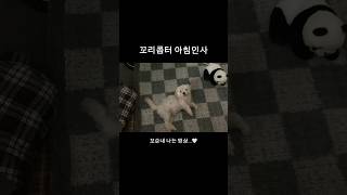 눈만 마주쳐도 반가운 사이 ㅎㅎ