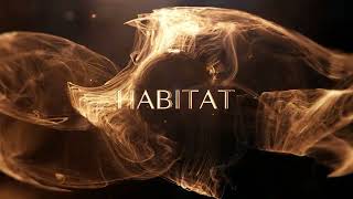 Habitat - Mestre (VE) - video esterno