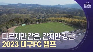 다르지만 같은, 같지만 강한! 2023 대구FC 캠프 | 대구MBC뉴스