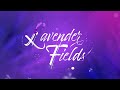 episode 89 part 4 of 4 lavender fields jodi sta. maria jericho rosales