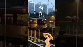 【天水圍雨夜】#youtubeshorts │ togatherwecare