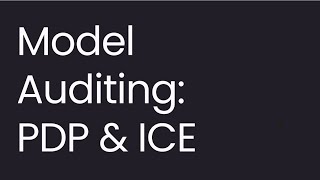 Model Auditing: Partial Dependence Plot (PDP) and Individual Conditional Expectation (ICE)