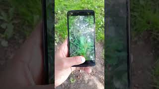 ZTE Axon Air Camara Test (Subscribe)