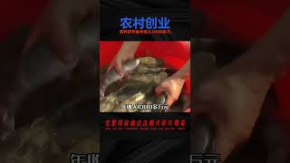 農村小伙放棄高薪工作，用積蓄創業，靠養蝦養魚年收入1000多萬 #于途史紀 #古墓 #考古發現 #考古 #盜墓筆記