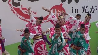 舞華　2015　花あかり　第9回　よさこい祭りin光が丘公園2015　1/2