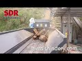 shindery machinery wa 8618503834376 comprehensive wood crusher