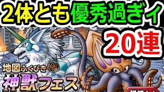 DQMSL 神獣フェスに海冥主メイヴ登場！そして期待のJOKER新生が熱め！！！