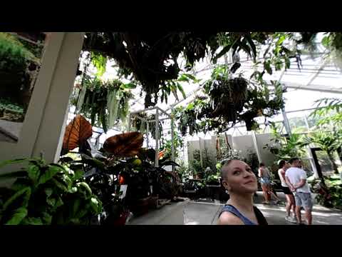 San Diego Botanic Garden - World Of Houseplants - Canon RF5.2mm F2.8 ...