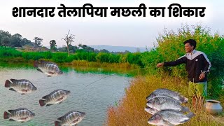 शानदार तेलापिया मछली का शिकार  //  fish farming chhattisgarh // 2023