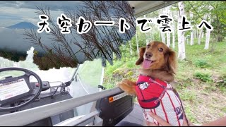 【わんこ旅】長野県 天空カートで雲上へ～富士見高原リゾート～【ミニチュアダックスフンド】