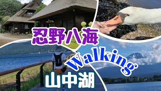 【富士五湖巡り〜３日目】忍野八海・山中湖ウォーキング〜しげちゃんの今日も絶好調！！