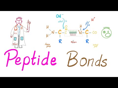 What are peptides and peptides linkage?