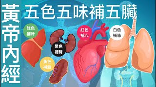 【經典精讀】☯️黃帝內經養生秘訣☯️～🍎五色食物、五味與五臟關係🍋