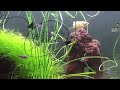 aquarium science basic biology and chemistry