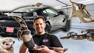 Making My Dream Animal Garage Man Cave