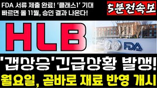 [HLB 주가전망] [긴급] FDA 서류제출 완료! \