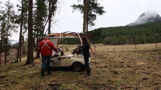 First Nations Study: Cedar Hats