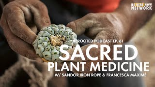 Sacred Plant Medicine w/ Sandor Iron Rope & Francesca Maximé - ReRooted Podcast Ep. 61