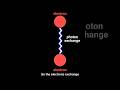 Quantum Electrodynamics: Science of Electrons and Photons