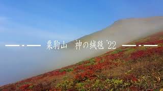 栗駒山 2022/10/3