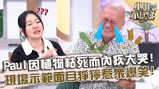 Paul因植物枯死而內疚大哭！被小Ｓ拱示範面目猙獰惹眾爆笑！【#小姐不熙娣】20231117 EP437 Part2 方琦 Paul