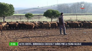 Flash el campo al día (23/12/2024): Altos costes, burocracia excesiva y daños por faunia salvaje