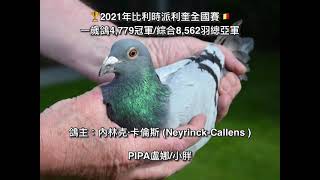 2021年比利時派利奎全國賽一歲鴿冠軍：BE20-3060349 鴿主：內林克·卡倫斯 (Neyrinck-Callens )