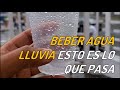 QUE PASA SI TOMO AGUA DE LLUVIA