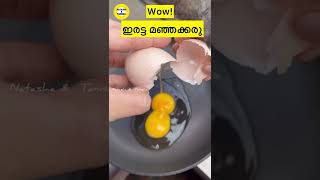 Wow!അത്ഭുത മുട്ടകൾ🤩 Double Yolk Egg. Egg With Two Yolks #shorts #malayalam #viral