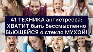 41 ТЕХНИКА антистресса: ХВАТИТ быть бессмысленно БЬЮЩЕЙСЯ о стекло МУХОЙ!