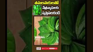 తమలపాకులతో నేత్రవ్యాధులకు స్వస్తి పలకండి | Heal your eye diseases with tamarind | CVR Health News