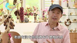 【南投草屯】大自然再生之美 開啟樹藝師李永謨的再生之路｜用心的產業｜399｜#美麗心台灣