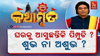 ଘରକୁ ଲାଲ ବା କଳା ରଙ୍ଗର ପିମ୍ପୁଡି ଆସିବା ଦେଇଥାଏ ଏହି ସଙ୍କେତ |Pandit Jitu Das | Kathamruta | NandighoshaTV