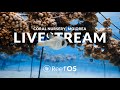 ReefOS Livestream: Tiaia Nursery, Mo'orea