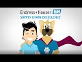 Supply chain excellence at Endress+Hauser