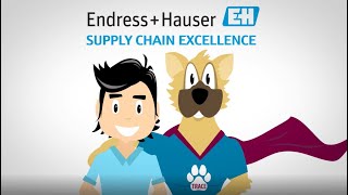 Supply chain excellence at Endress+Hauser