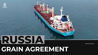 Black Sea grain deal: Russia says it has suspended participation